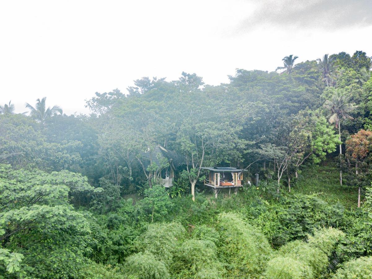 Bird Hills Bamboo House Karangasem Exterior foto